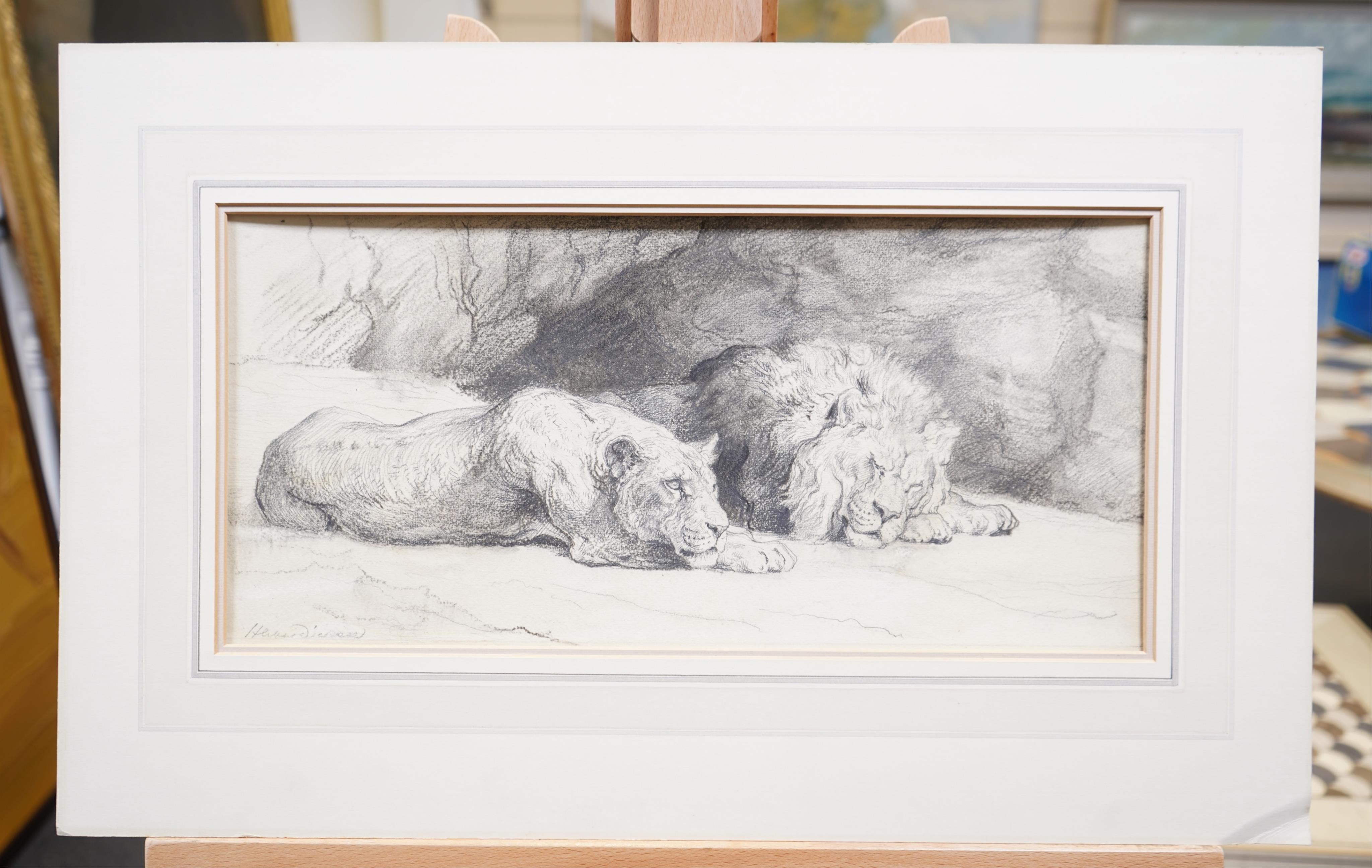 Herbert Thomas Dicksee, (1862-1942), Study of two lions resting